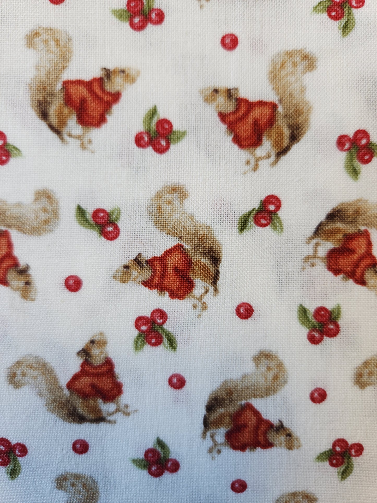 Henry Glass Magical Menagerie tossed squirrels wearing red sweaters