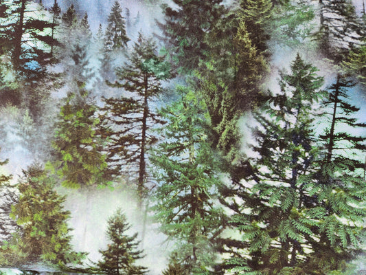 Misty Mountain Evergreen Forest.  CD3528 .5 m cut