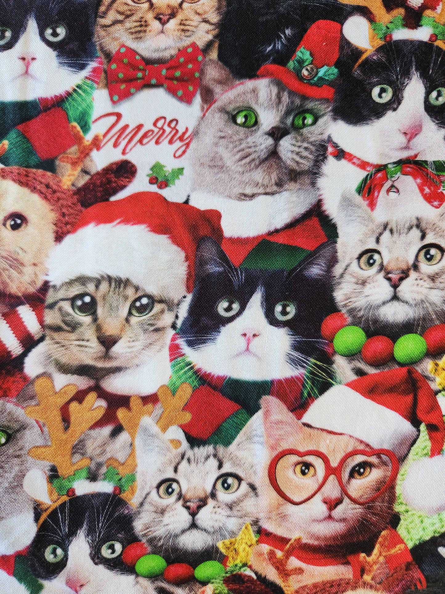 Christmas fabric - Cats in Hats, CD3498