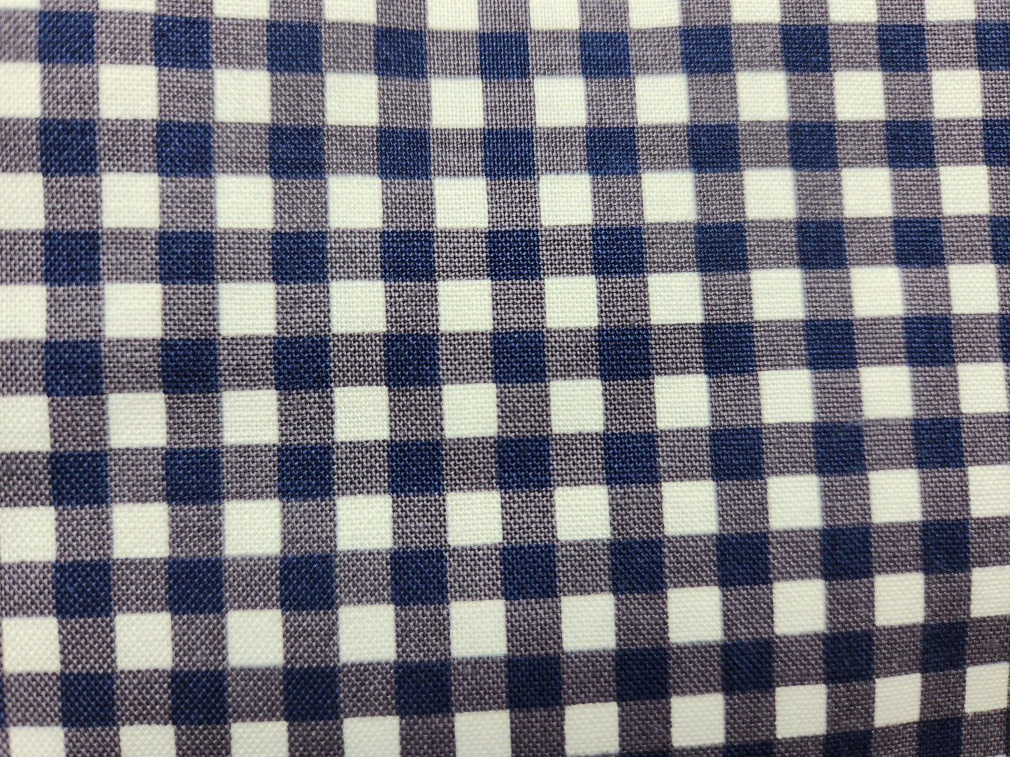 Riley Blake Copacetic Blueberry Gingham 1 yard cut